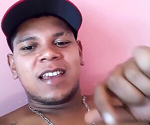 Modelo pau 123