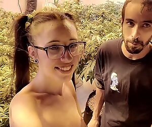 Weed, magic glass japan, marihuana