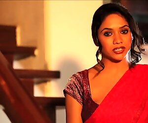hot bhabhi in saree makes you cum